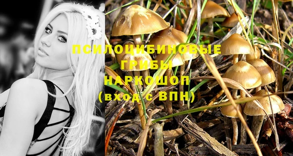 первитин Балахна