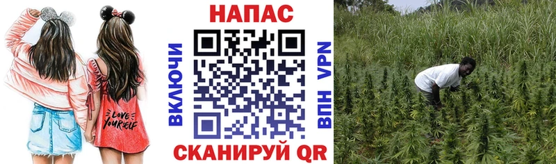 МАРИХУАНА тримм наркошоп Пересвет